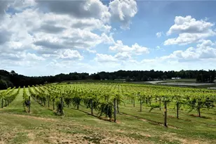 5861 Yoshino Cherry Ln, Braselton, GA 30517 - Photo 86