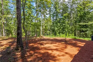 1243 Hooper Rd, Cleveland, GA 30528 - Photo 30