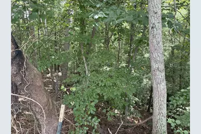 00 Calhoun Road, Dahlonega, GA 30533 - Photo 4