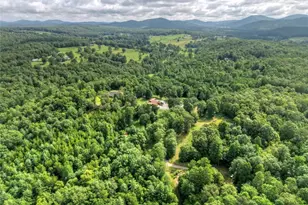 79 Stewart Ln, Morganton, GA 30560 - Photo 46