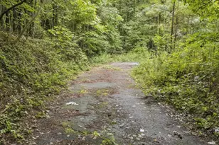 6733 Hwy 155 N, Stockbridge, GA 30281 - Photo 14