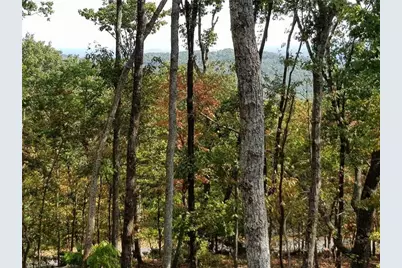 8242 Cox Mountain Drive, Big Canoe, GA 30143 - Photo 6