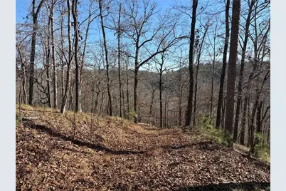 0 Lawrence Road, Dawsonville, GA 30534 - Photo 12