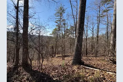 0 Lawrence Road, Dawsonville, GA 30534 - Photo 16