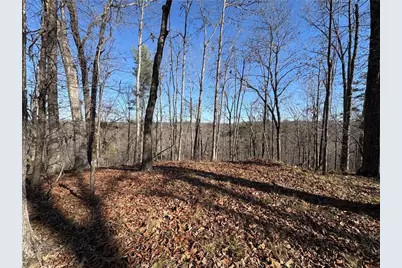 0 Lawrence Road, Dawsonville, GA 30534 - Photo 14