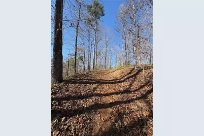 0 Lawrence Road, Dawsonville, GA 30534 - Photo 6