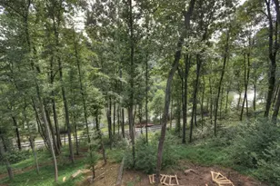 271 Toccoa Preserve Court, Blue Ridge, GA 30513 - Photo 20