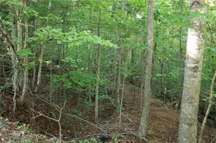 0 Overlook Loop At Young Harris, Young Harris, GA 30582 - Photo 10