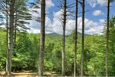 1056 Jolley Way, Epworth, GA 30541 - Photo 4