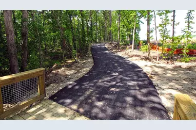 2978 Champions Way, Loganville, GA 30052 - Photo 48