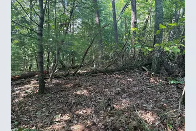 1169 Upper Salem Church Road, Jasper, GA 30143 - Photo 4