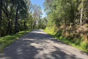 1169 Upper Salem Church Rd, Jasper, GA 30143 - Photo 1