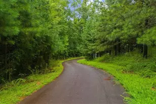 3709 Maple Shade Dr SW, Gainesville, GA 30504 - Photo 48