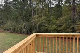 320 Bianca Way, McDonough, GA 30253 - Photo 52