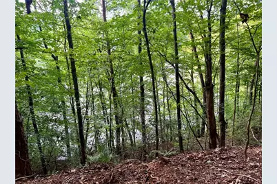 3211 Lakeview Street, Gainesville, GA 30506 - Photo 8