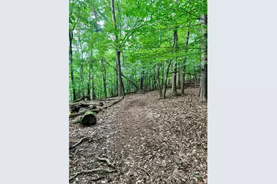 3211 Lakeview Street, Gainesville, GA 30506 - Photo 4