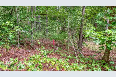 130 Levi Trail, Nicholson, GA 30565 - Photo 12