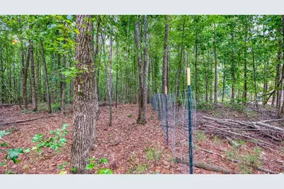 140 Levi Trail, Nicholson, GA 30565 - Photo 14