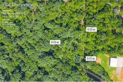 311 Caprice Drive, Martin, GA 30557 - Photo 4