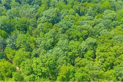 311 Caprice Drive, Martin, GA 30557 - Photo 16