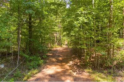 311 Caprice Drive, Martin, GA 30557 - Photo 22