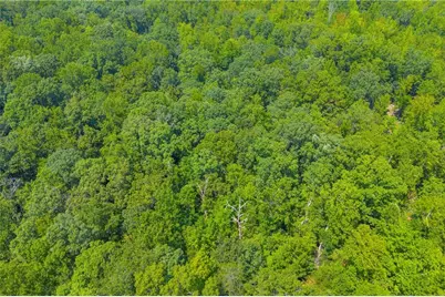 311 Caprice Drive, Martin, GA 30557 - Photo 18