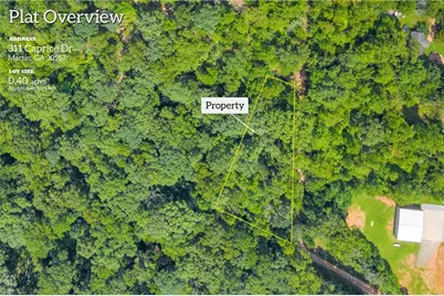 311 Caprice Drive, Martin, GA 30557 - Photo 2