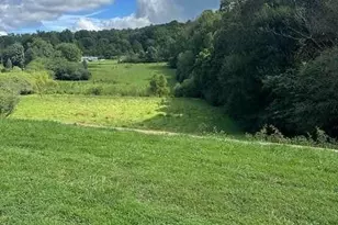 1323 Cavender Creek Rd, Dahlonega, GA 30533 - Photo 54