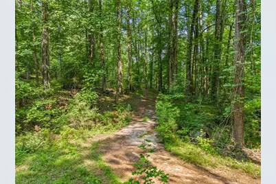 225 Brock Trail, Milton, GA 30004 - Photo 22
