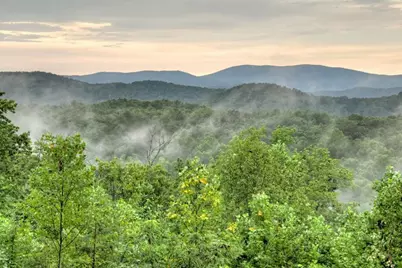 785 Wehunt Road, Blue Ridge, GA 30513 - Photo 20