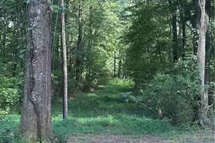 966 Judkin Mill Rd, Cedartown, GA 30125 - Photo 4