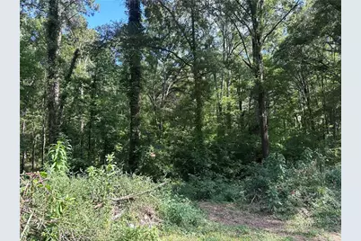 966 Judkin Mill Road, Cedartown, GA 30125 - Photo 2