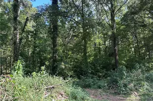 966 Judkin Mill Rd, Cedartown, GA 30125 - Photo 2