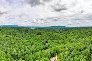 1122 Beaver Lake Dr, Ellijay, GA 30540 - Photo 50