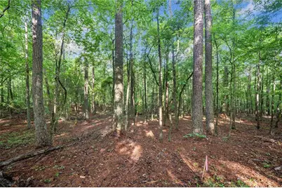 230 Brock Trail, Milton, GA 30004 - Photo 16