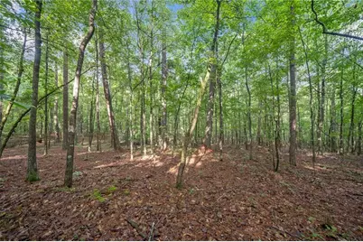 230 Brock Trail, Milton, GA 30004 - Photo 12