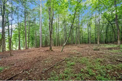 230 Brock Trail, Milton, GA 30004 - Photo 6
