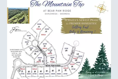 1028 Bear Paw Ridge, Dahlonega, GA 30533 - Photo 4