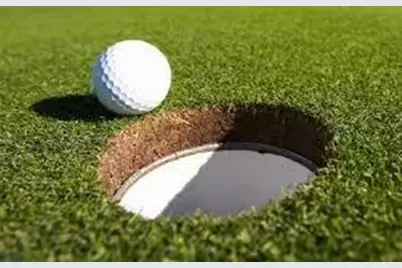 1034 Bear Paw Ridge, Dahlonega, GA 30533 - Photo 8