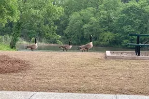 1246 Lucan Ln, Lawrenceville, GA 30043 - Photo 40