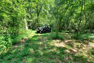 606 Keetor Rd, Talking Rock, GA 30175 - Photo 78