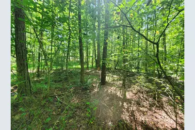 606 Keetor Road, Talking Rock, GA 30175 - Photo 84