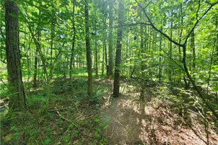 606 Keetor Rd, Talking Rock, GA 30175 - Photo 84