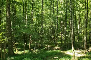 606 Keetor Rd, Talking Rock, GA 30175 - Photo 64