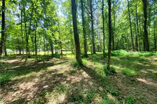 606 Keetor Rd, Talking Rock, GA 30175 - Photo 90