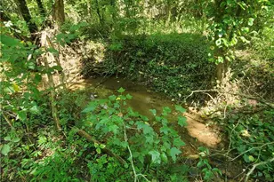 606 Keetor Rd, Talking Rock, GA 30175 - Photo 86