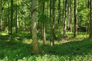 606 Keetor Rd, Talking Rock, GA 30175 - Photo 66