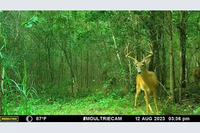 742 Harmony Gates Drive, Commerce, GA 30530 - Photo 28