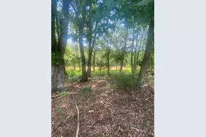 1764 Flatbottom Road, Ball Ground, GA 30107 - Photo 1