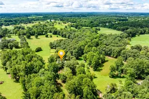 6223 Hulsey Rd, Clermont, GA 30527 - Photo 52